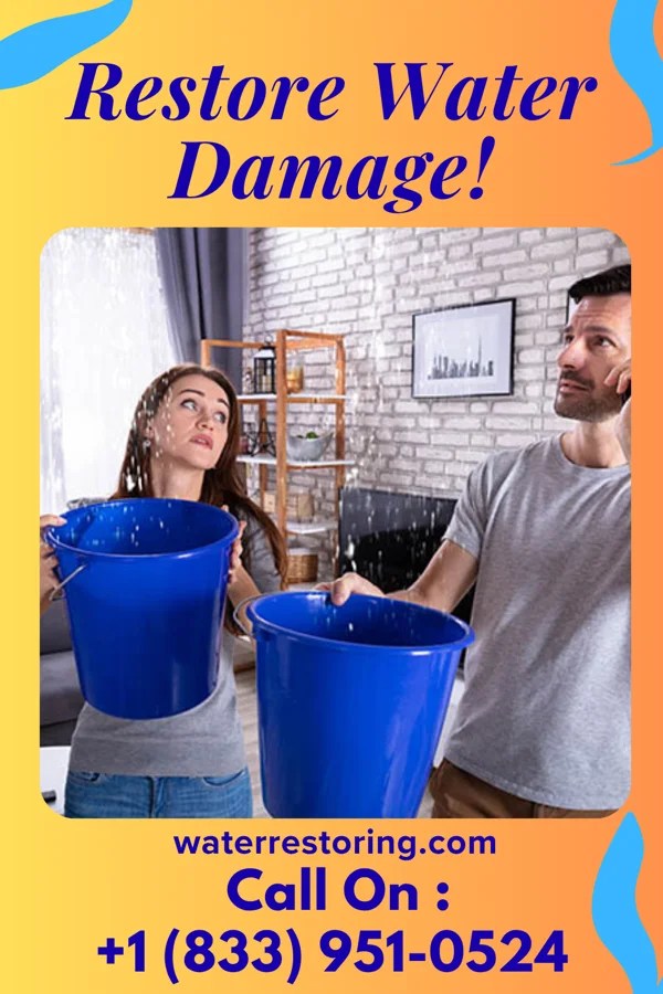 water restoration Precision Recovery Services Bloomfield