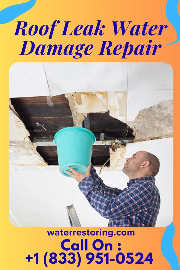 Roof Leak Water Damage Repair in Bloomfield, IA