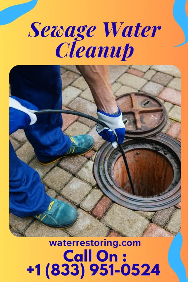 Sewage Water Cleanup in Bloomfield, IA